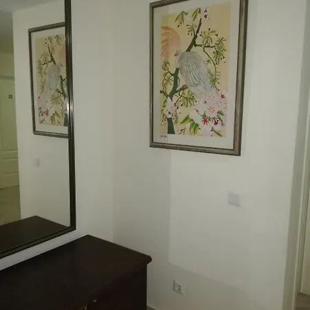 Galea Centro 2*