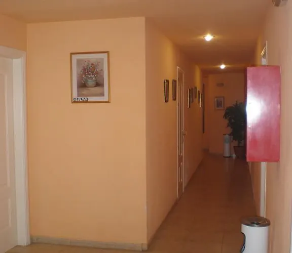 Galea Centro Konukevi San Pedro de Alcántara