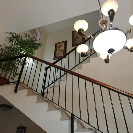 Galea Centro 2*